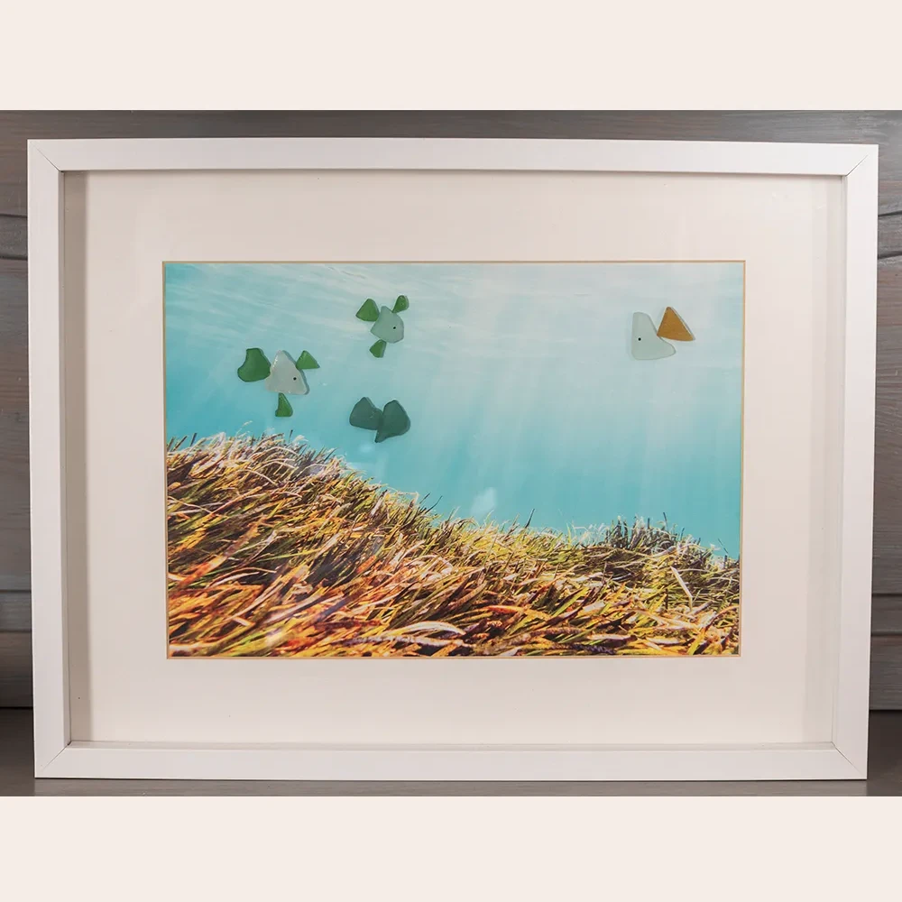 Seeglas-Fische im Seegras von Formentera