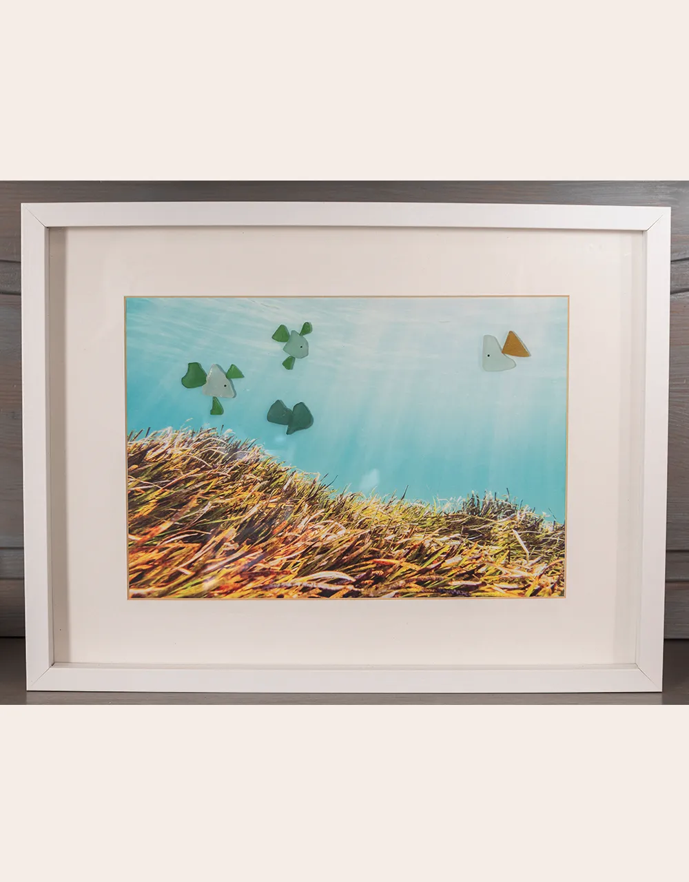 Seeglas-Fische im Seegras von Formentera